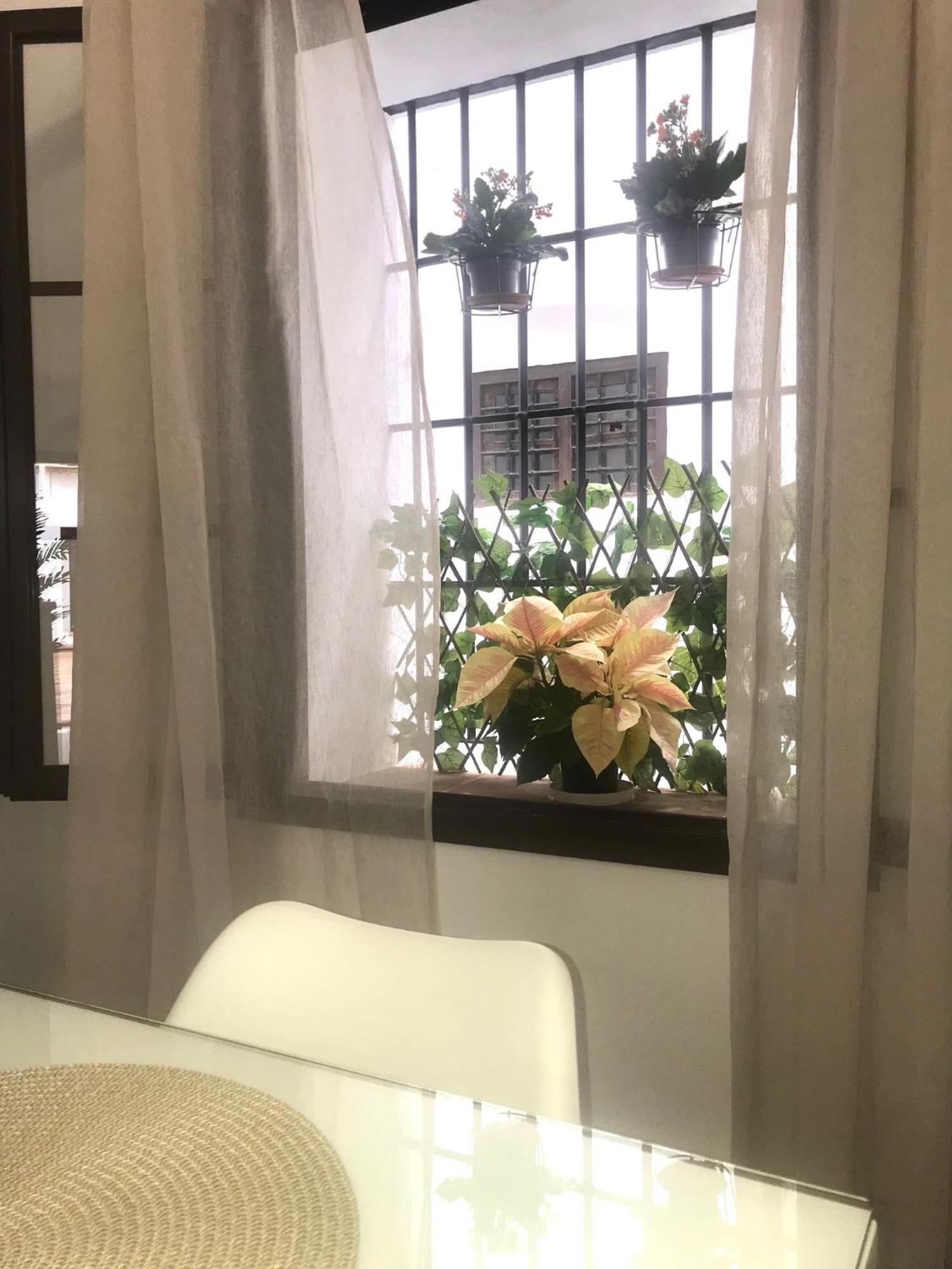 Apartamento El Museo Ecija Bagian luar foto