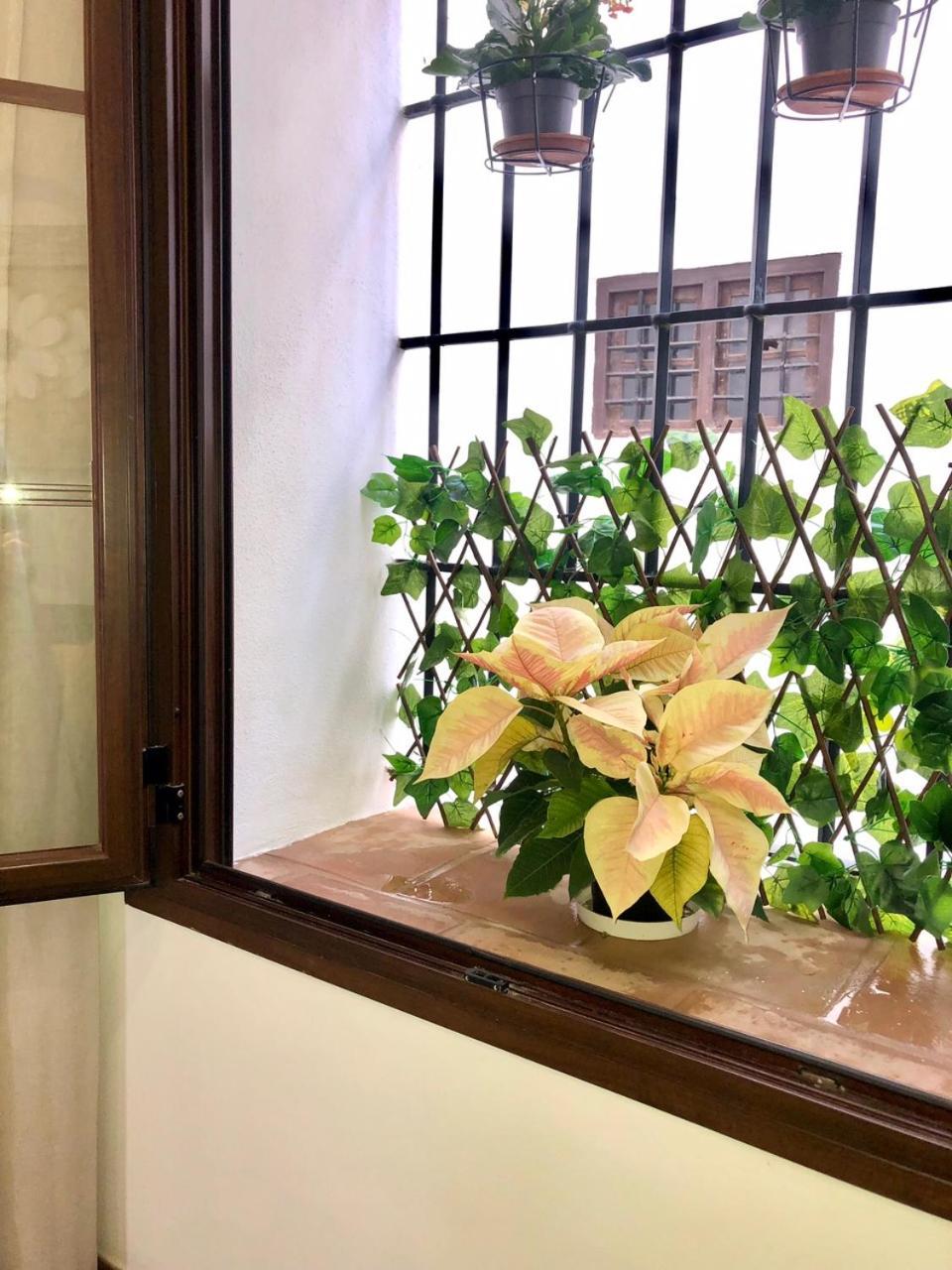 Apartamento El Museo Ecija Bagian luar foto